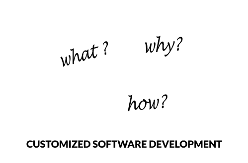 software development
